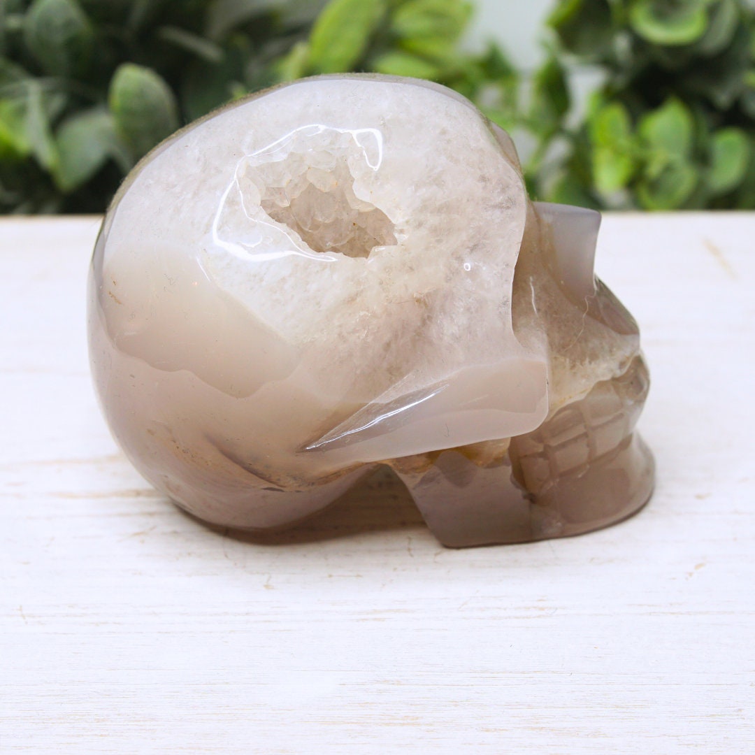 Druzy Agate Skull Large Teeth