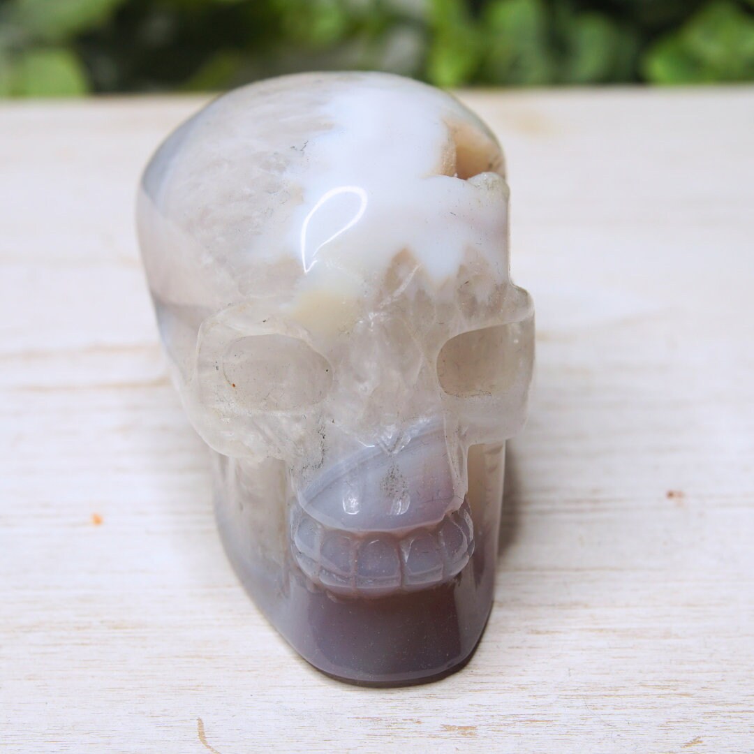 Druzy Agate Skull Large Teeth