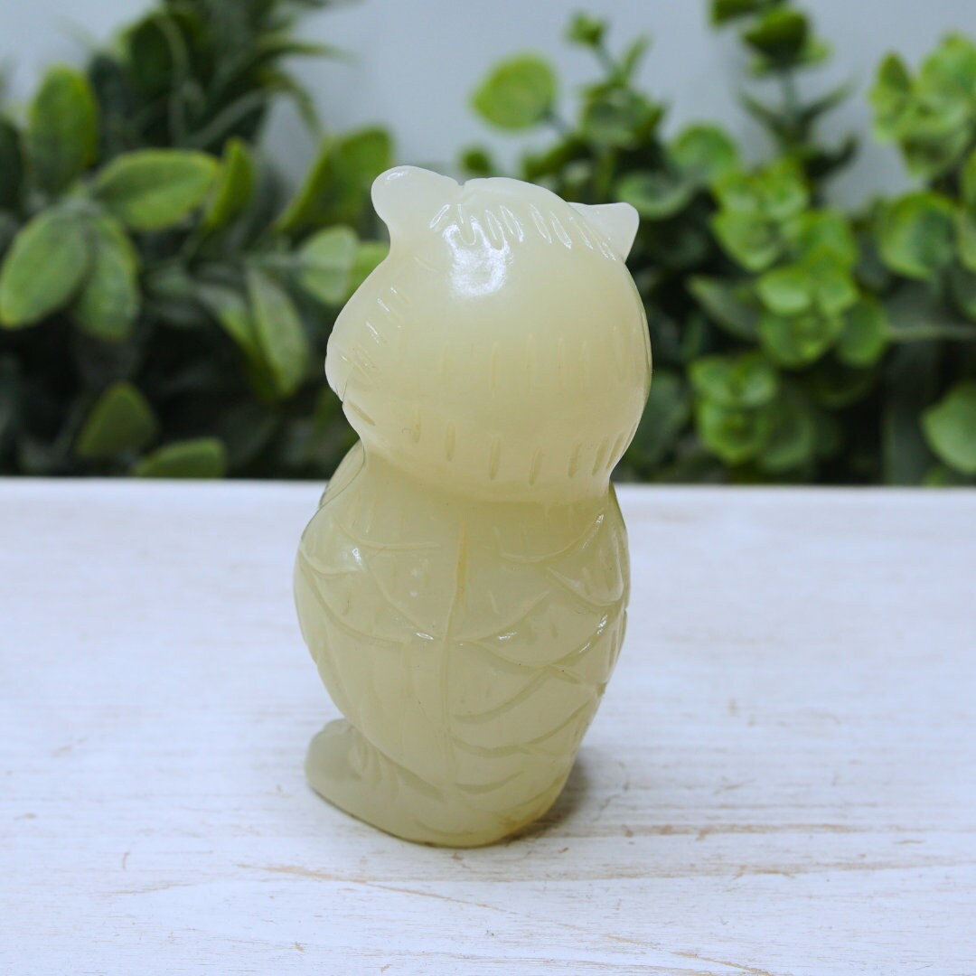 Green Afghan Jade Owl Carving Crystal