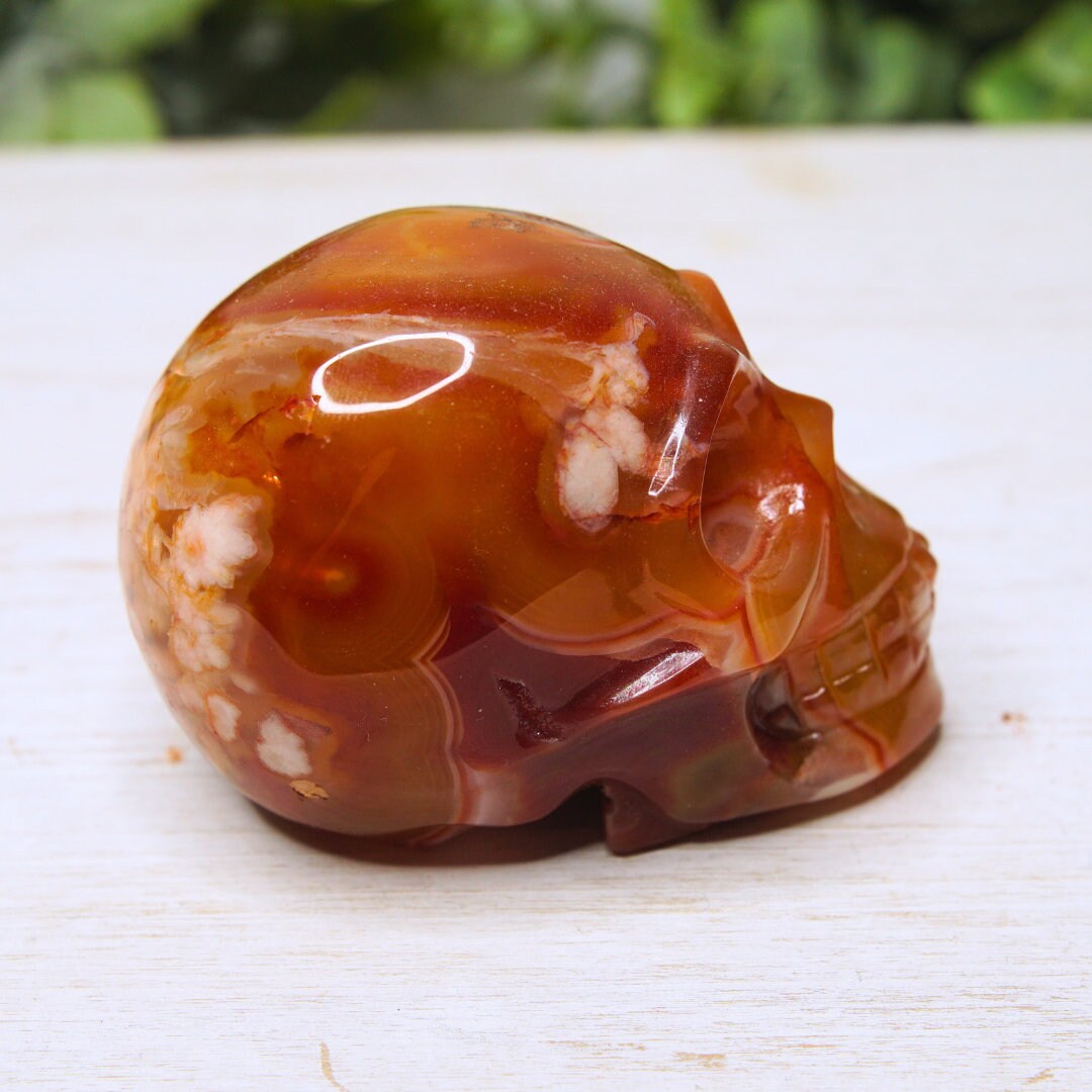 Druzy Agate Red Carnelian Flower Agate Skull Carving