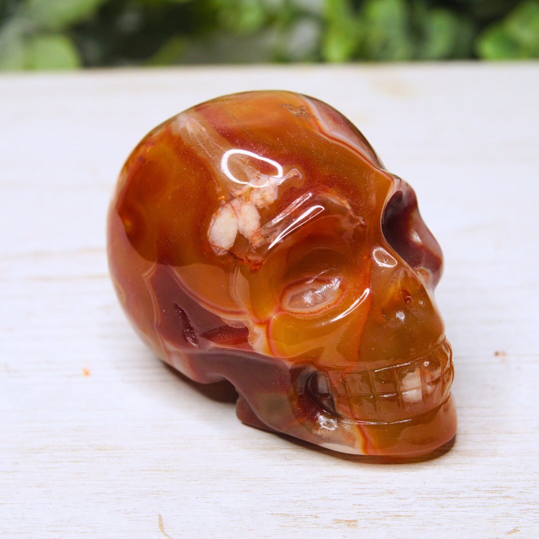 Druzy Agate Red Carnelian Flower Agate Skull Carving