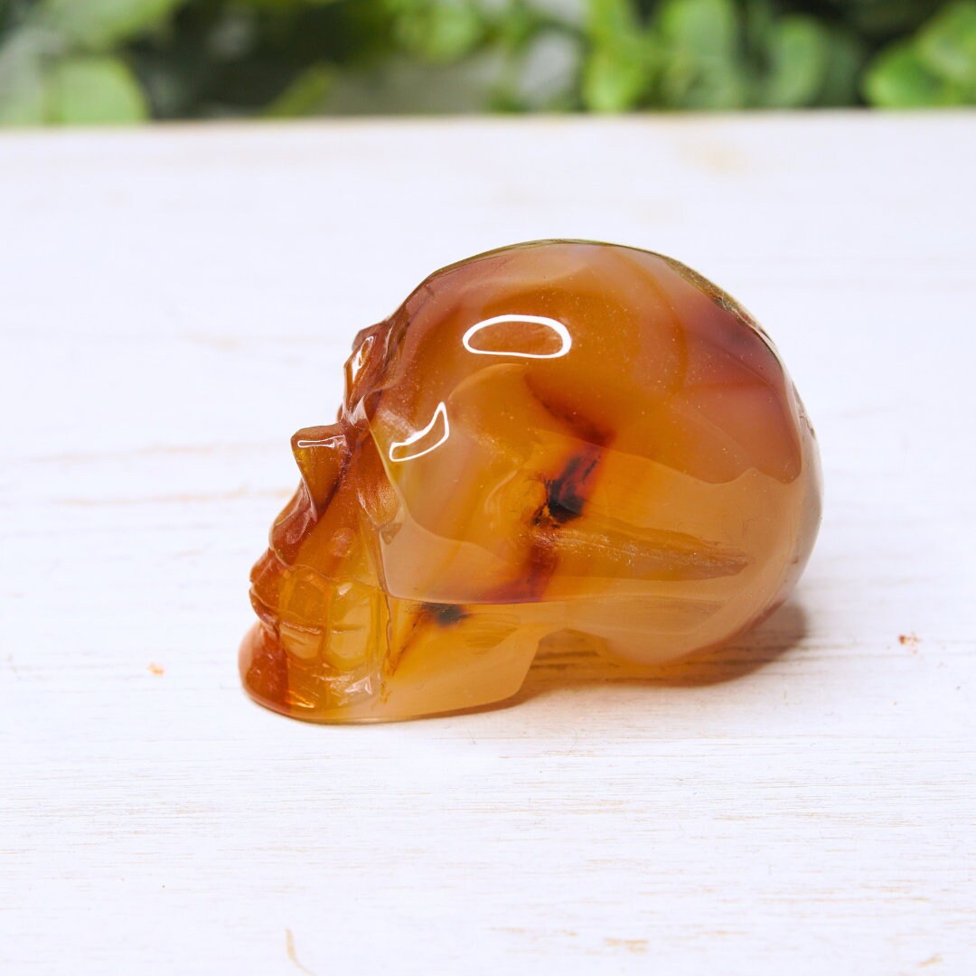 Agate Red Carnelian Skull Carving