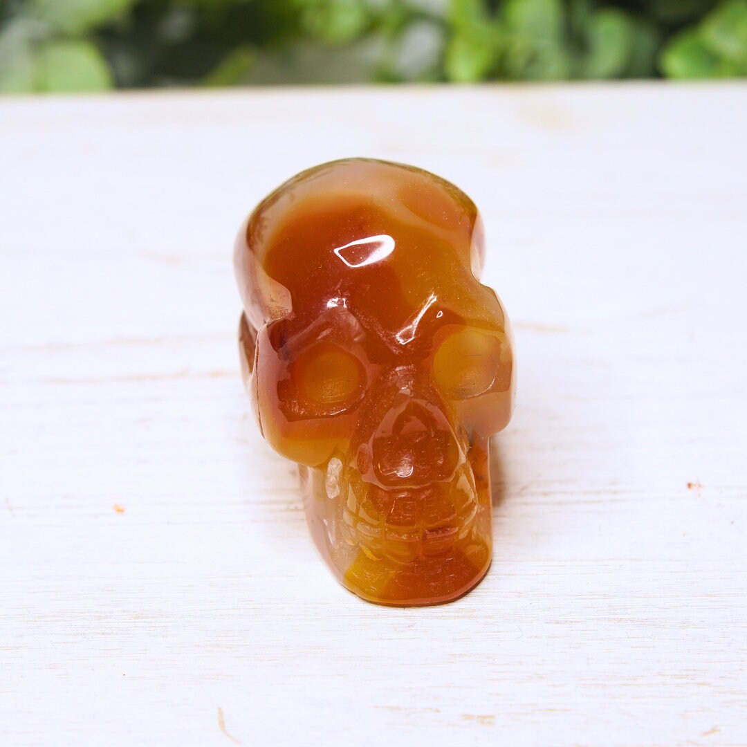 Agate Red Carnelian Skull Carving