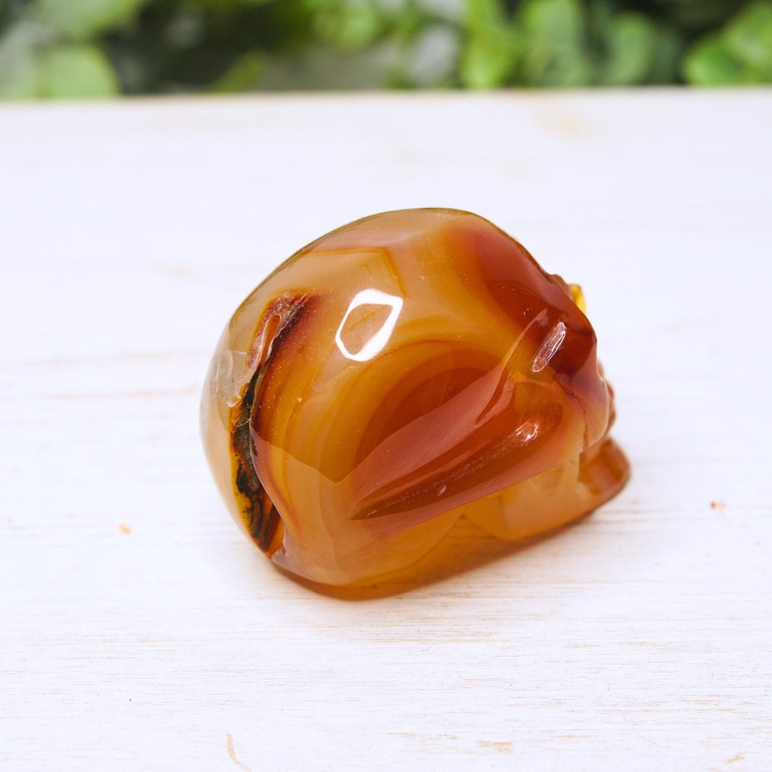 Agate Red Carnelian Skull Carving