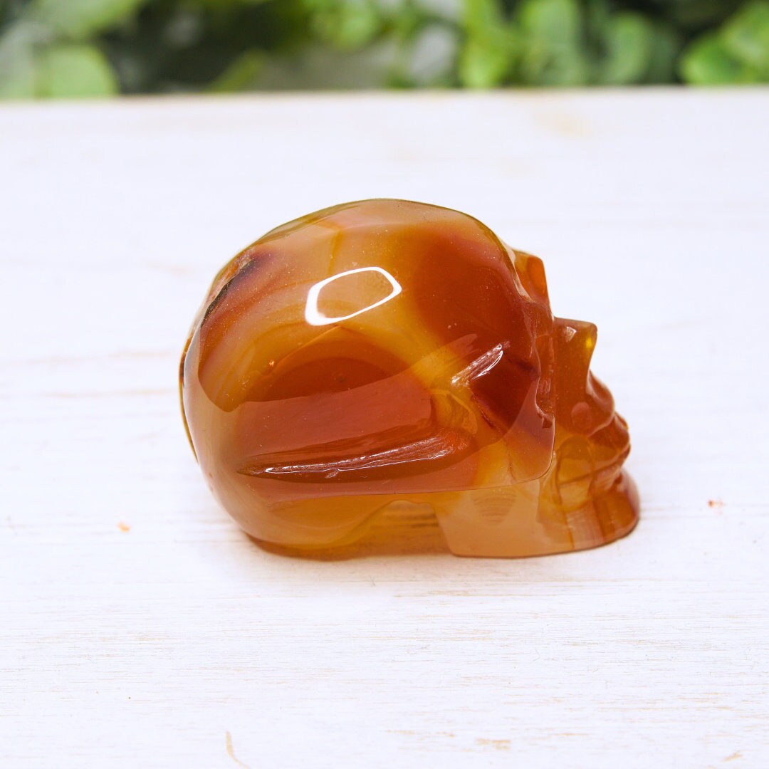 Agate Red Carnelian Skull Carving