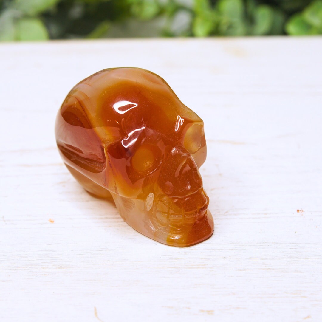 Agate Red Carnelian Skull Carving