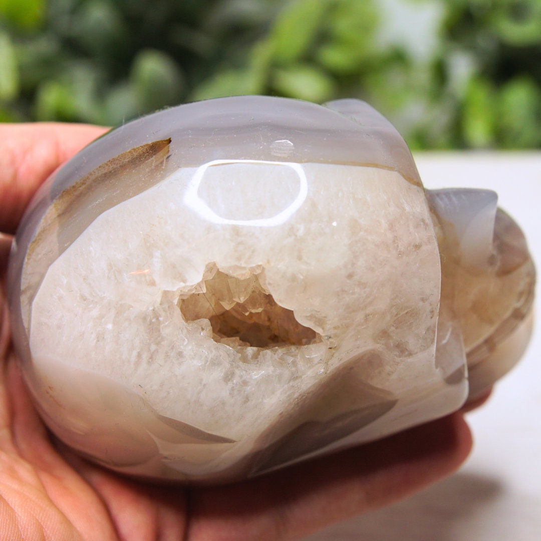 Druzy Agate Skull Large Teeth