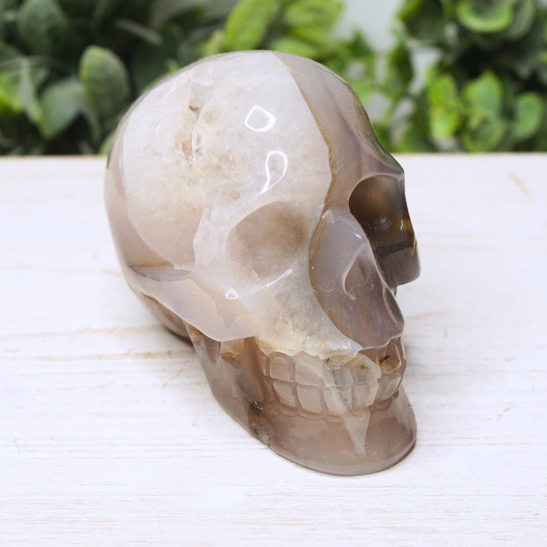 Druzy Agate Skull Large Teeth