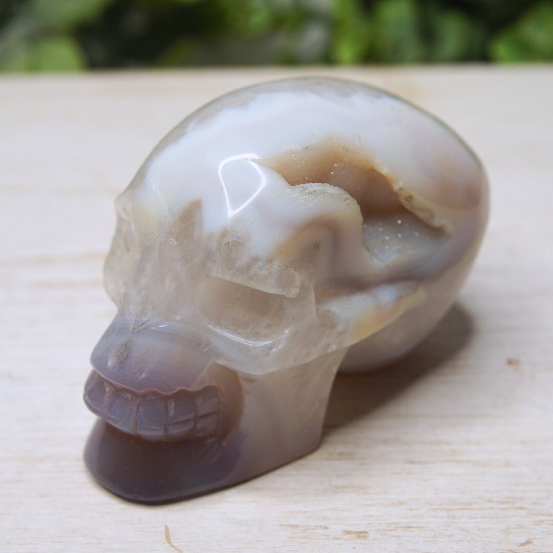 Druzy Agate Skull Large Teeth