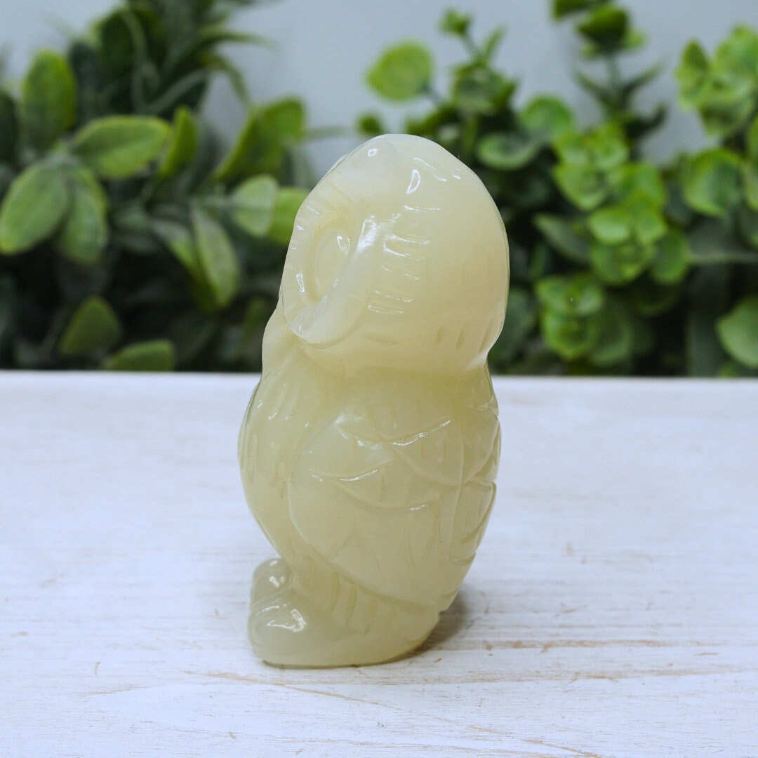 Green Afghan Jade Owl Carving Crystal