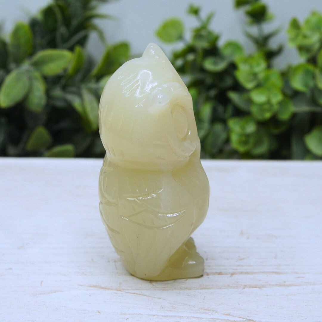 Green Afghan Jade Owl Carving Crystal